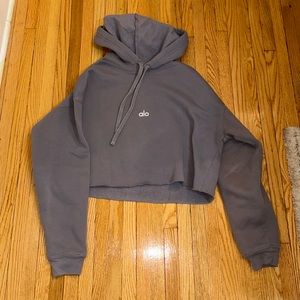 Alo Yoga Cropped Sweatshirt
